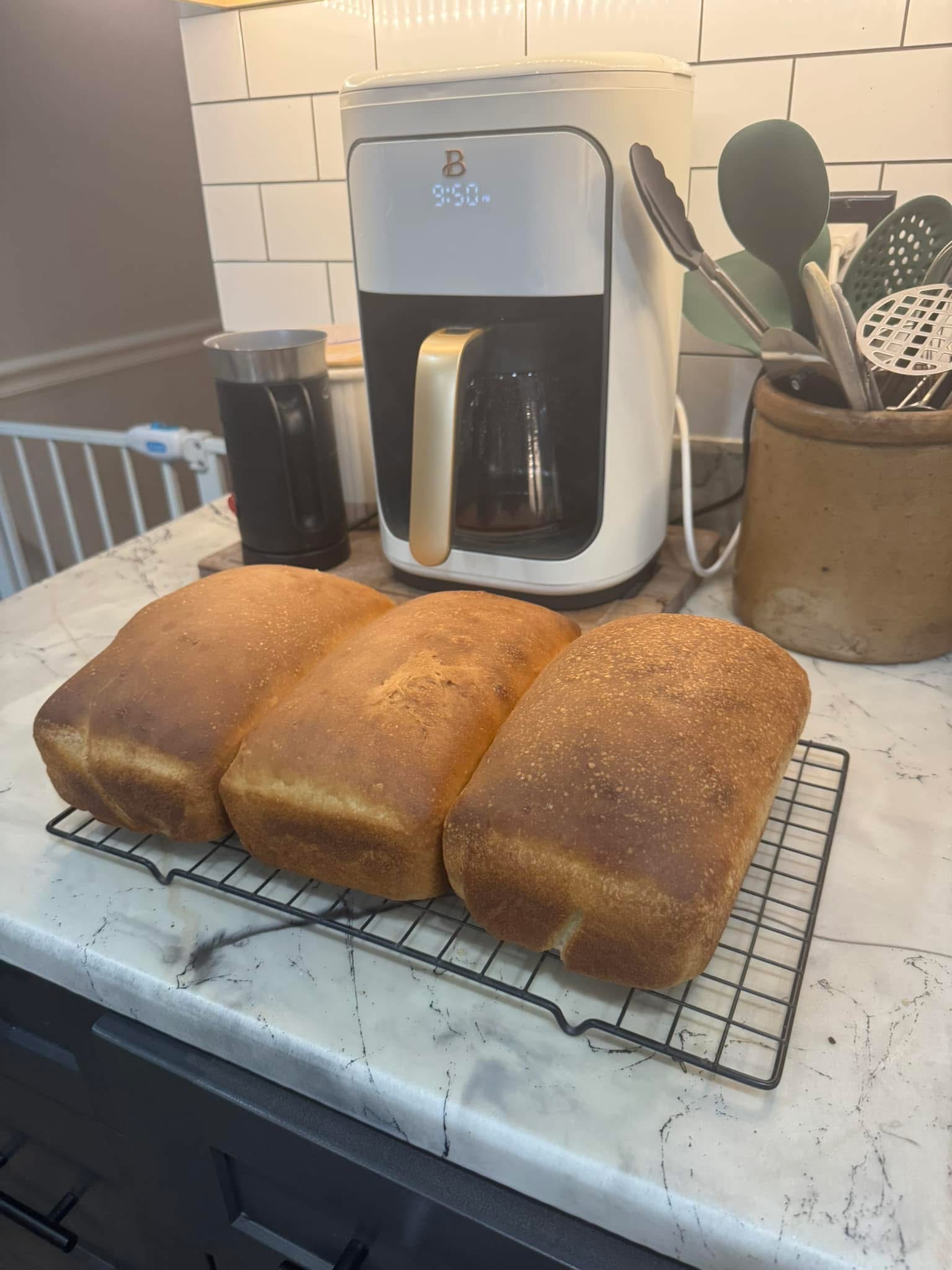 Sourdough Sandwich Bread