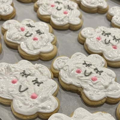 Custom Royal Iced Cookies