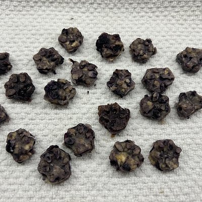 Blueberry Dog Treats