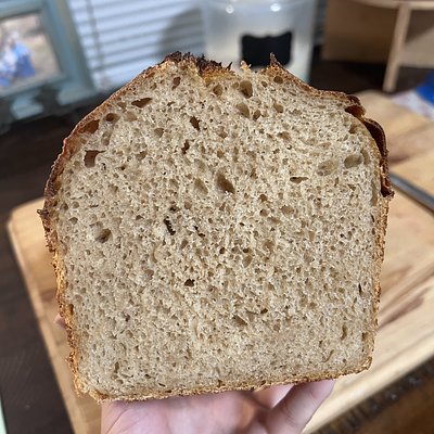 Whole Wheat Sandwich Loaf
