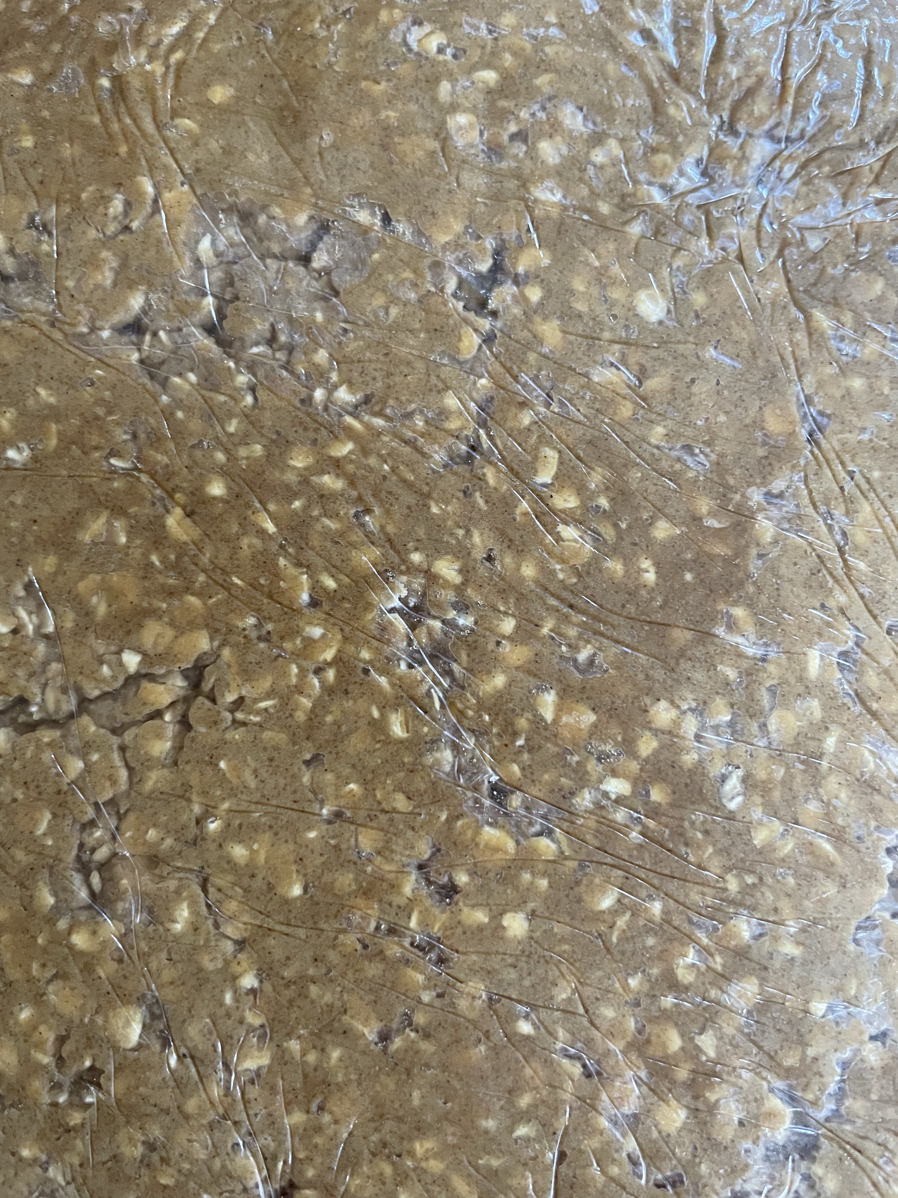 Oatmeal Cookie (No Raisins)