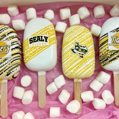 Sealy Tigers Cakesicles