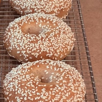 Yogurt Protein Bagels (6) - Sesame