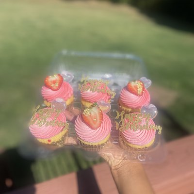 Infused Cupcakes (24) 