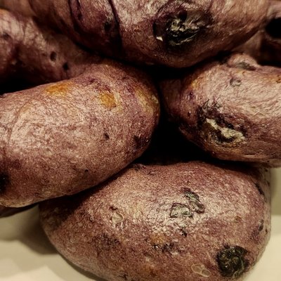 Blueberry bagels 