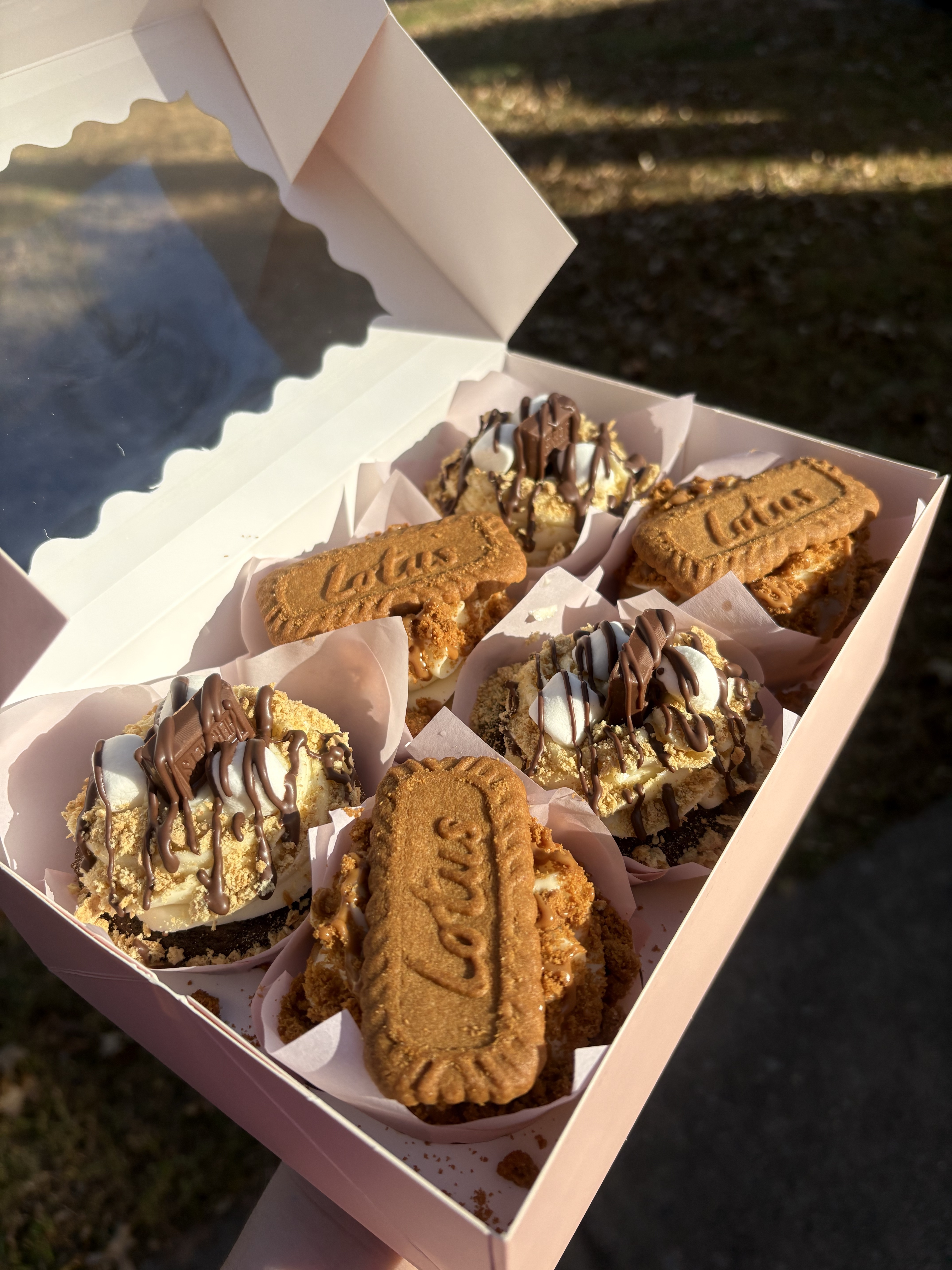Mix N Match 6CT Lotus Biscoff & S’mores🤎