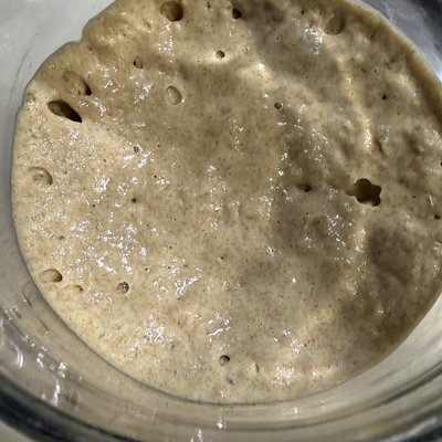 Sourdough Starter 