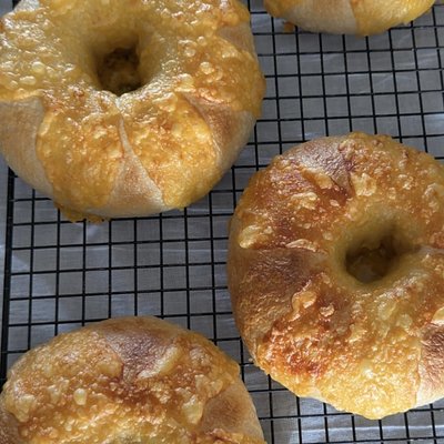 Sourdough CHEDDAR Bagels 4cnt 