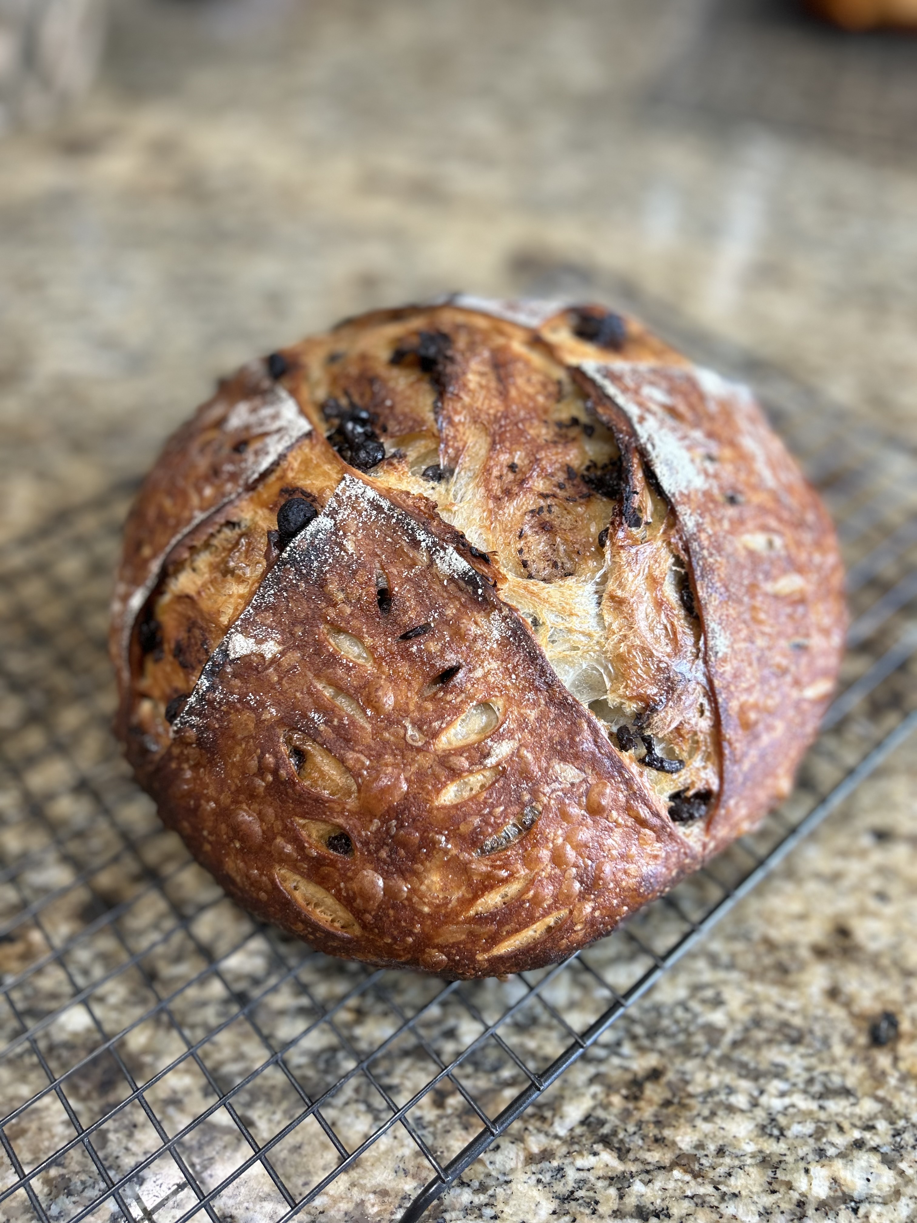 Chocolate Chip Sourdough Loaf