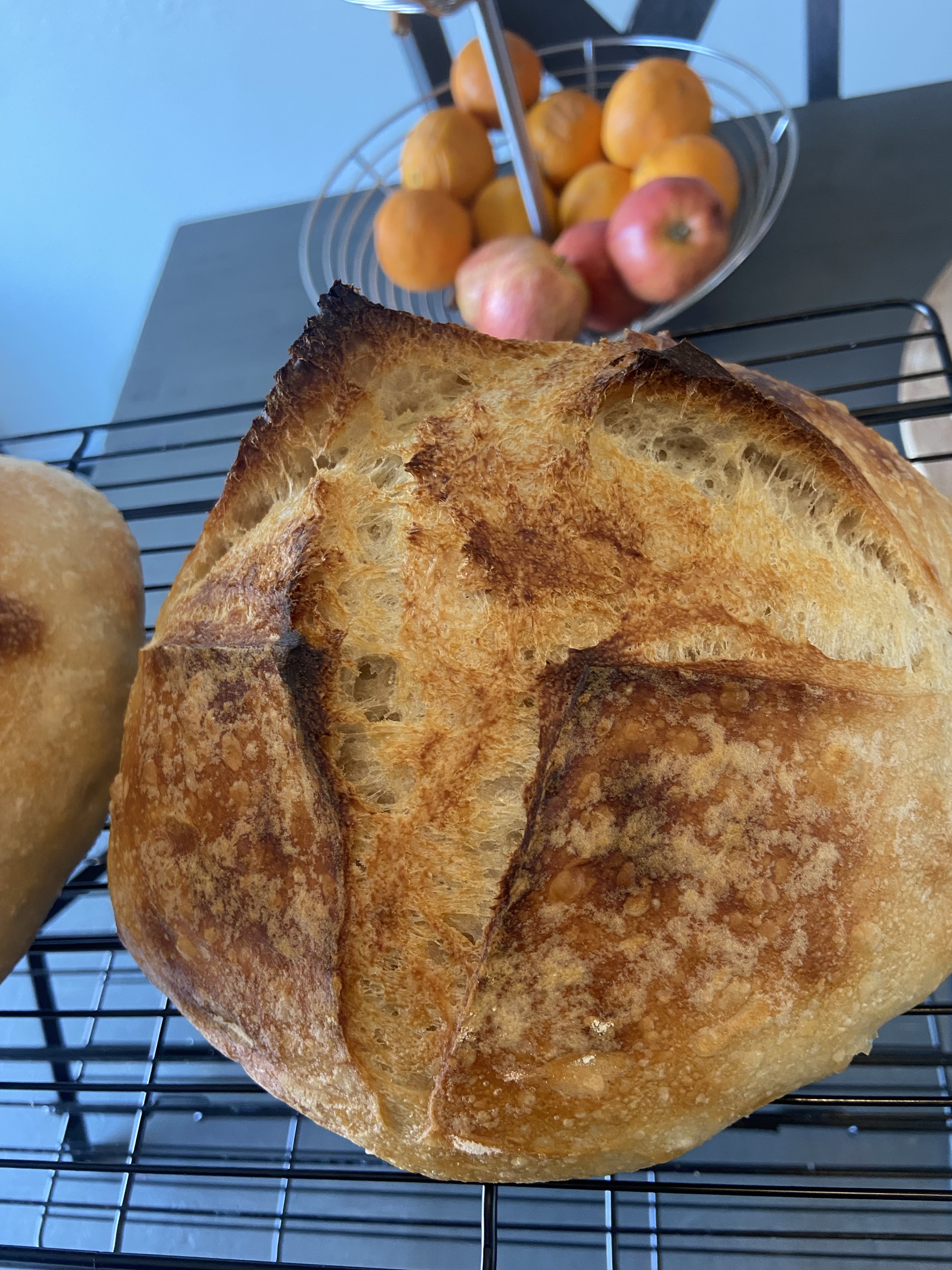 Sourdough Flavored - Italian/Cheese