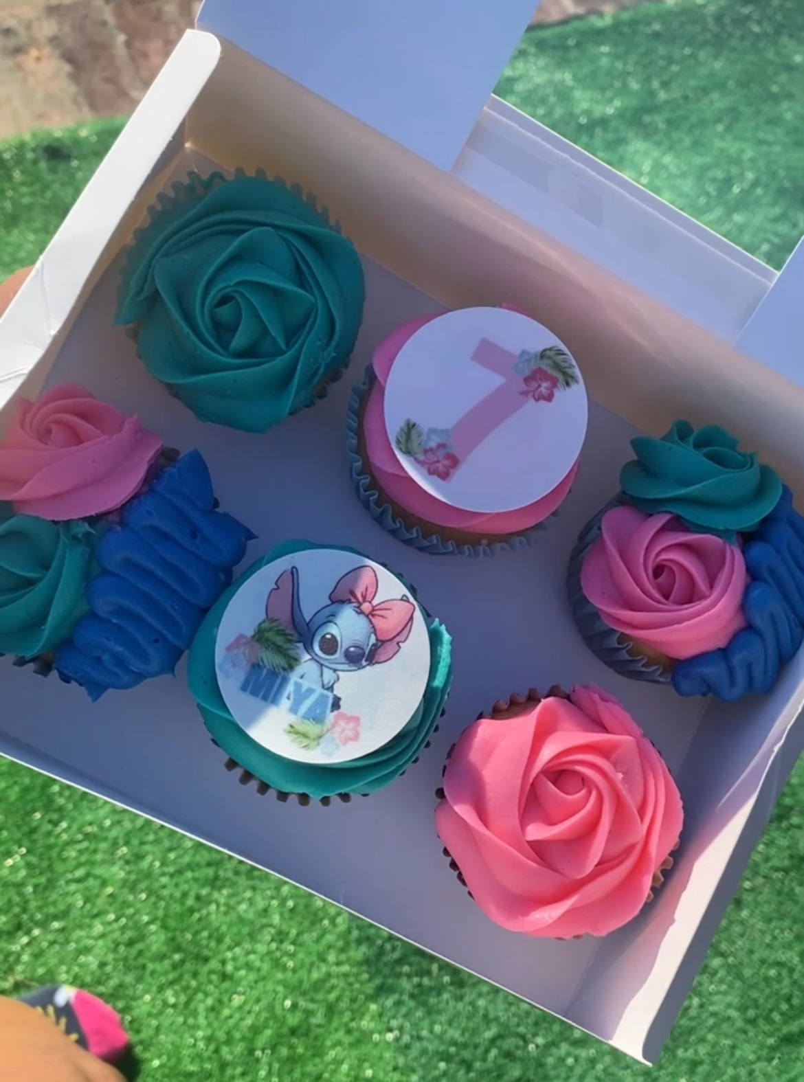 6 Count Cupcakes 