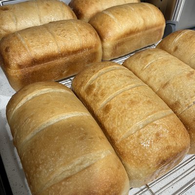 Organic Sourdough Sandwich Loaf - Unsliced