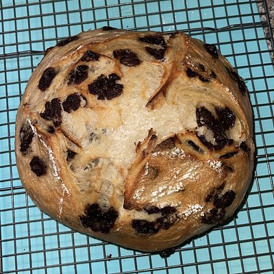 Chocolate Chip 