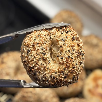 Sourdough Everything Seasoning Bagel •6•