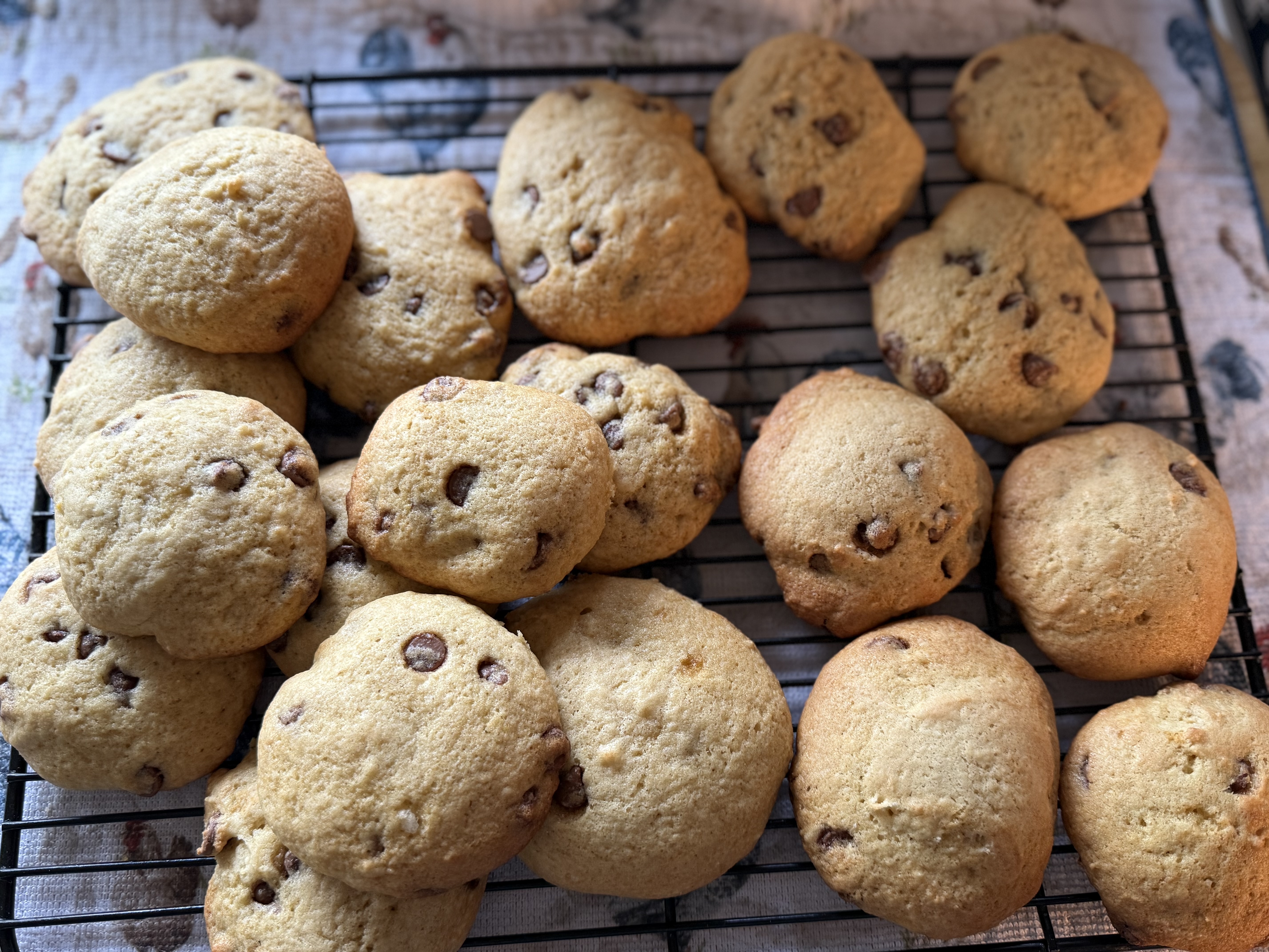 Chocolate Chip Cookies