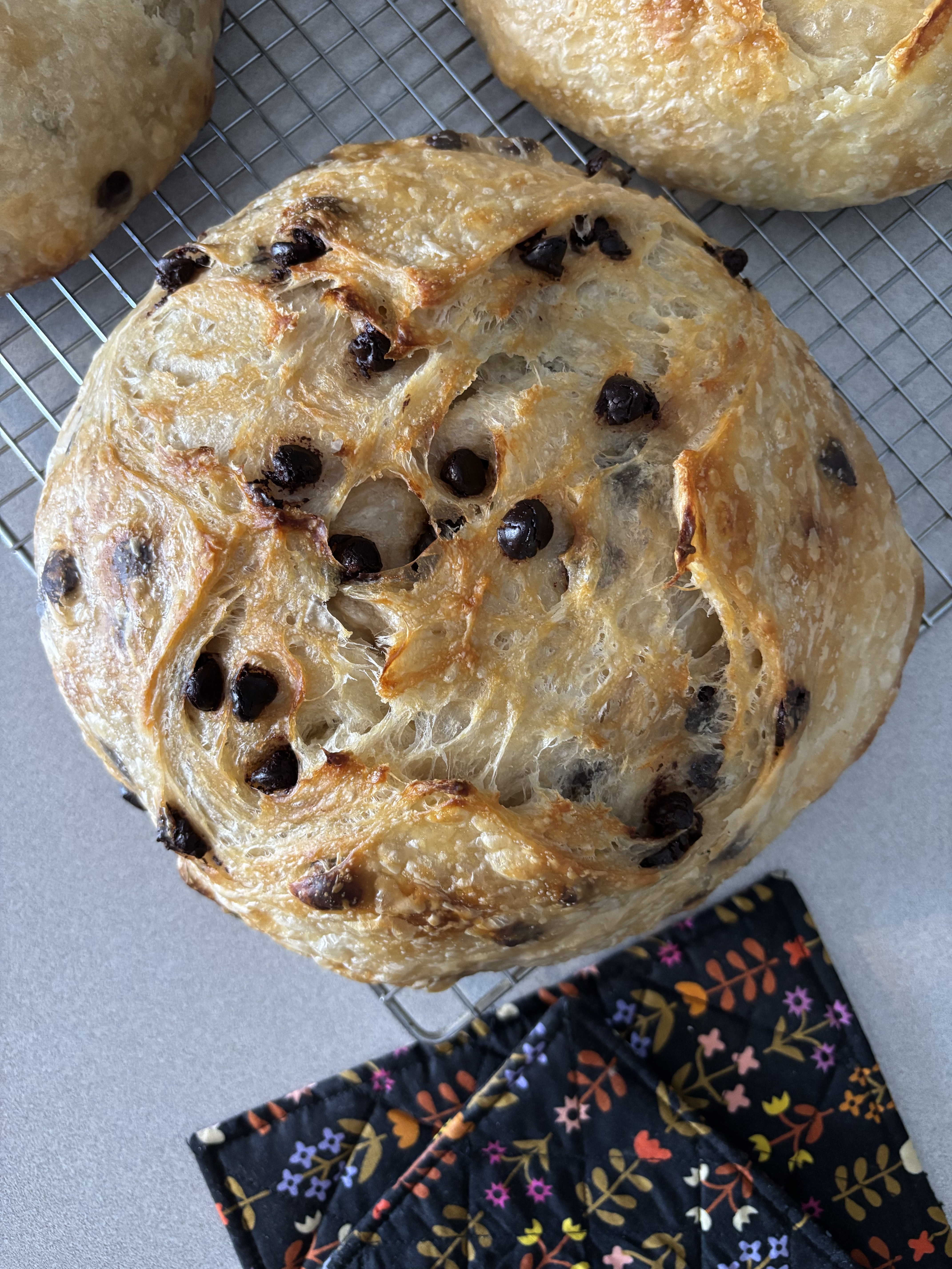 Chocolate Chip Croissant Boule