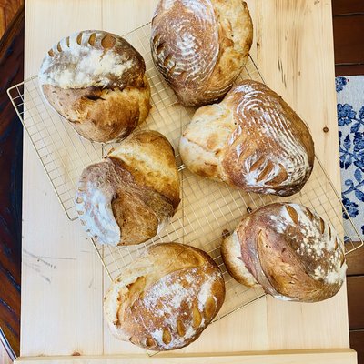 Sourdough Loaf