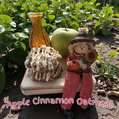 Apple Cinnamon Oatmeal