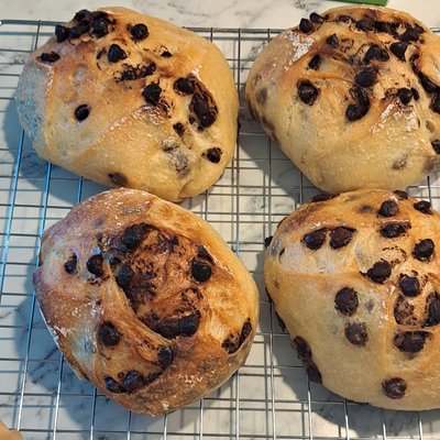 Chocolate Chip Sourdough Bread 