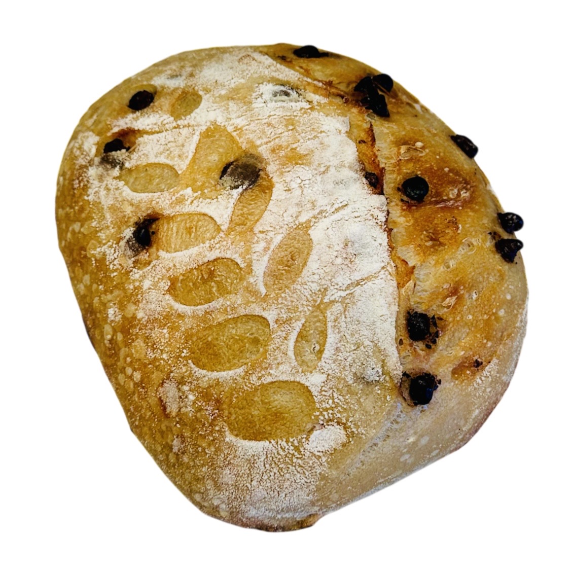 Chocolate Chip