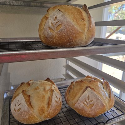 Sourdough Boule