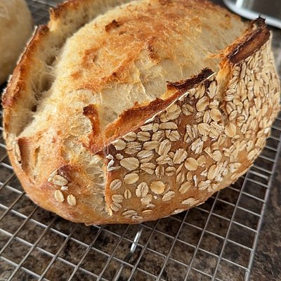 Honey Oat Sourdough 