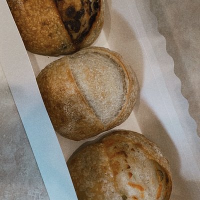 Flight Of The Wild Yeast