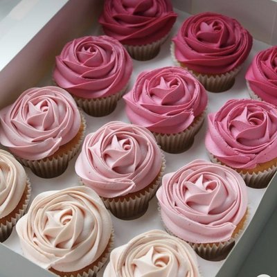 CUPCAKES 🧁  (PLAIN)