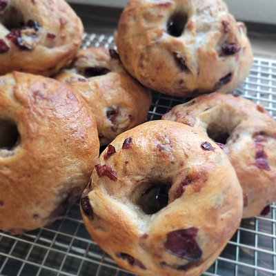 Cranberry Walnut Sourdough Bagels (Seasonal Special)
