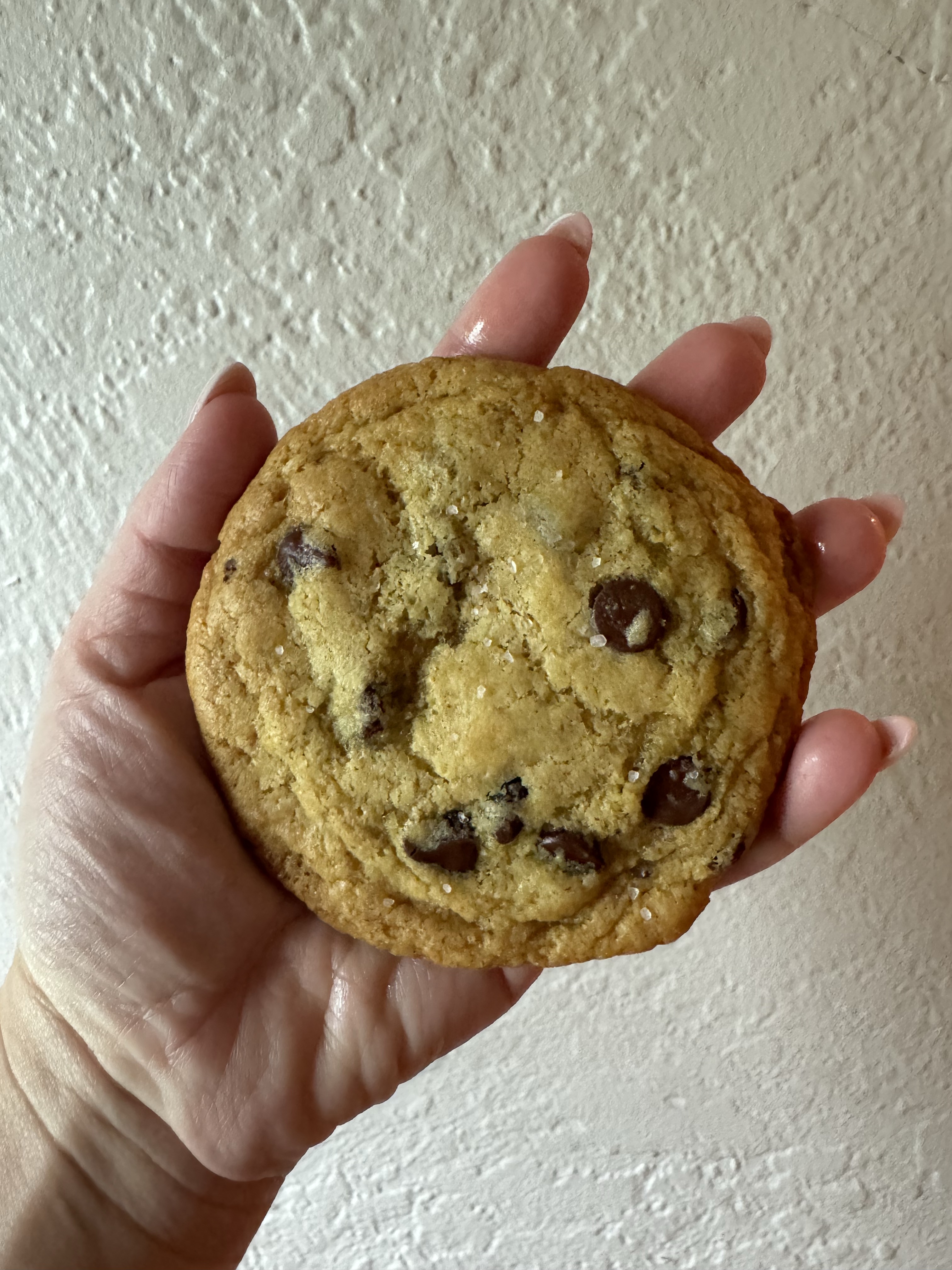 6pk Brown-Butter Chocolate Chip Sourdough Cookies
