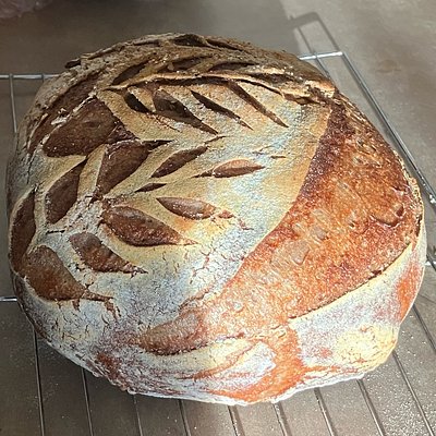 Small Whole Grain Yeast Artisan Loaf 