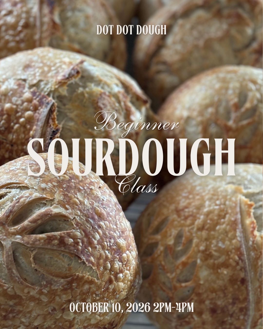 Beginner Sourdough Class 10/10