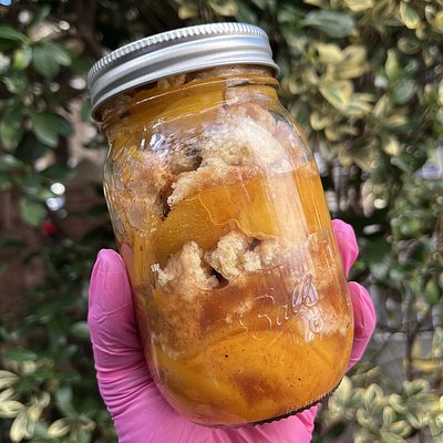 Peach Cobbler Jar 