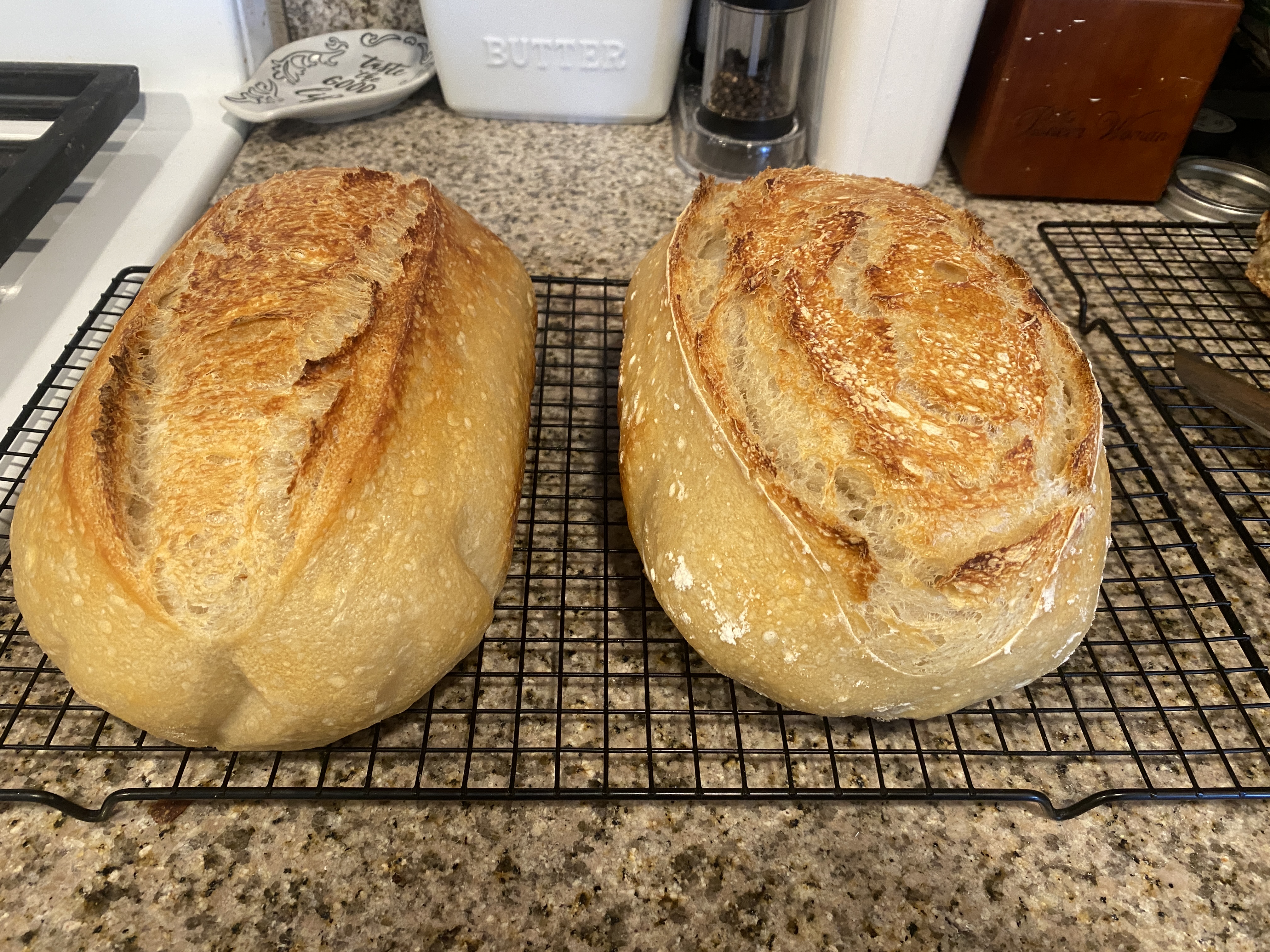 Plain Sourdough