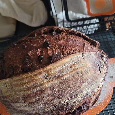 Chocolate Chocolate Chip Sourdough