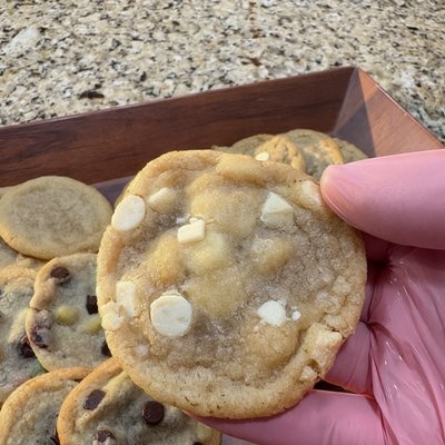 Macadamia White Chocolate Chip 