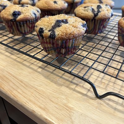 Blueberry Muffin - Medium 