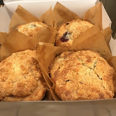 Blueberry Muffins