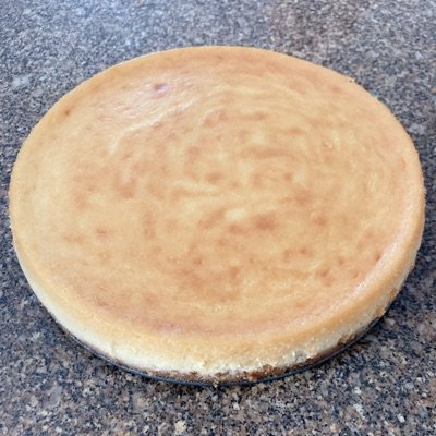 Full Size Plain 10”