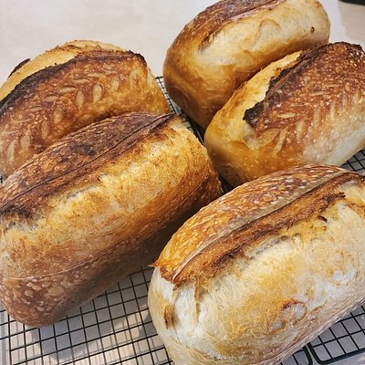 Classic Sourdough