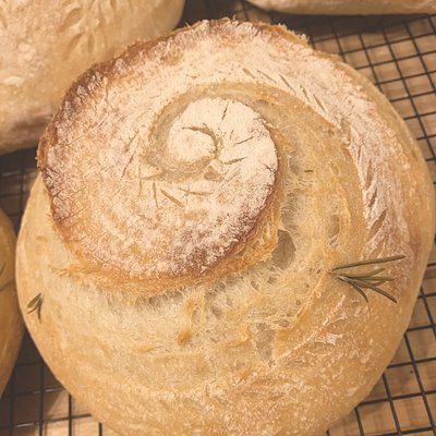Mini Rosemary Sourdough Loaf 