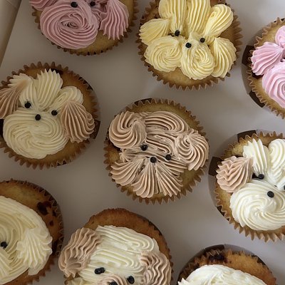 Custom Cupcakes