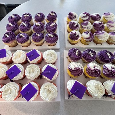 Regular Dozen Cupcakes 