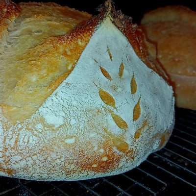 LARGE SOURDOUGH LOAVES 