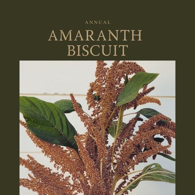 Amaranth Biscuit