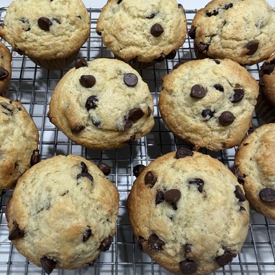 Wholesale Muffins 