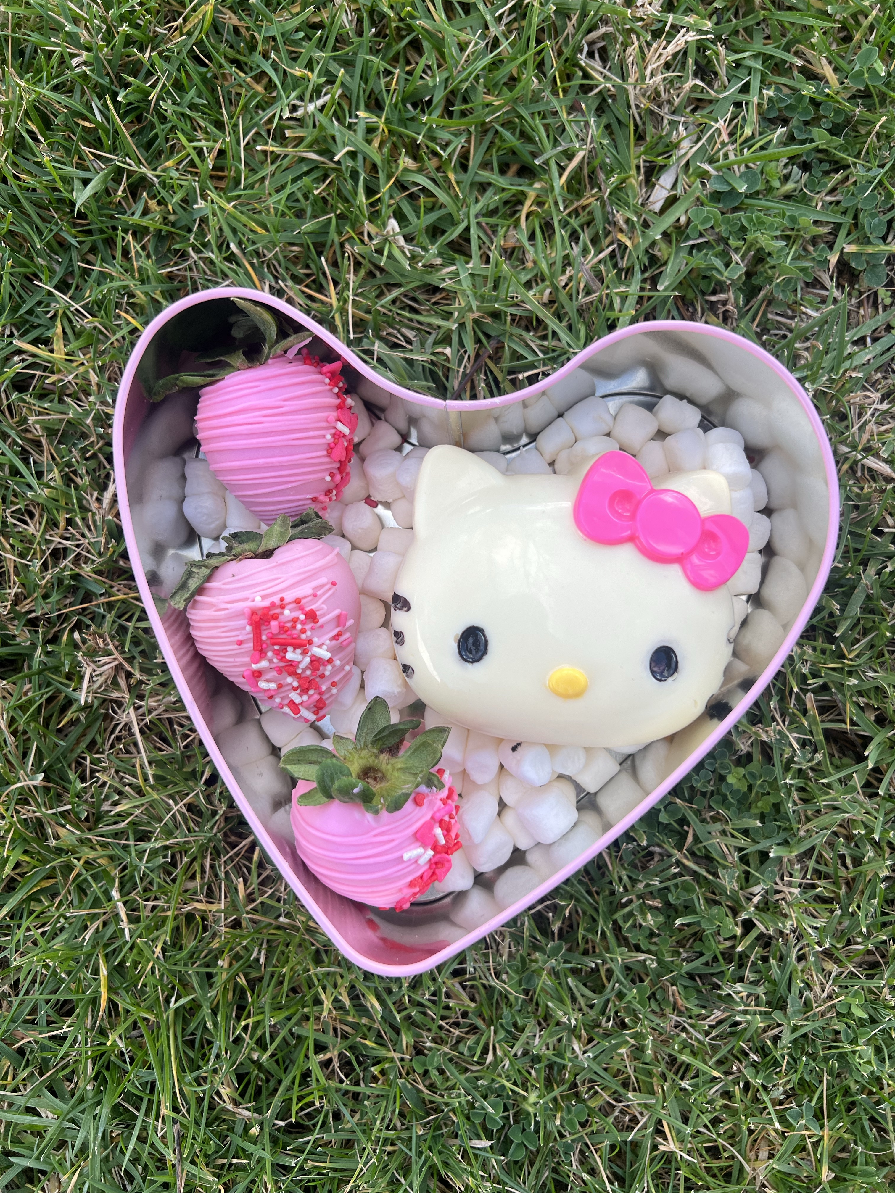 Hello Kitty Breakable 