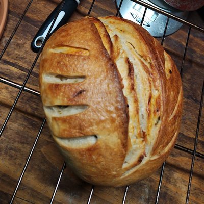 Sourdough Bread