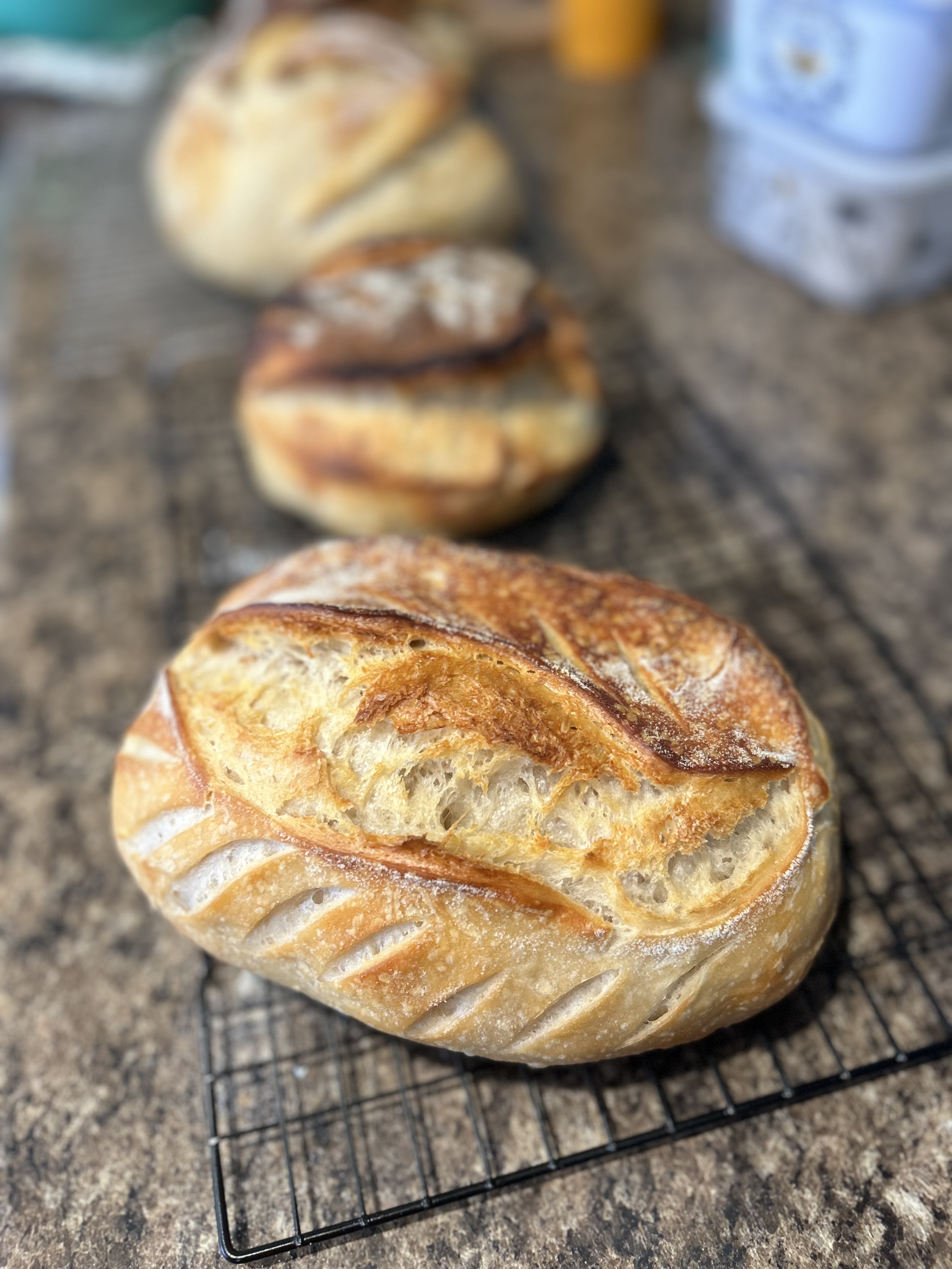 Plain artisan 