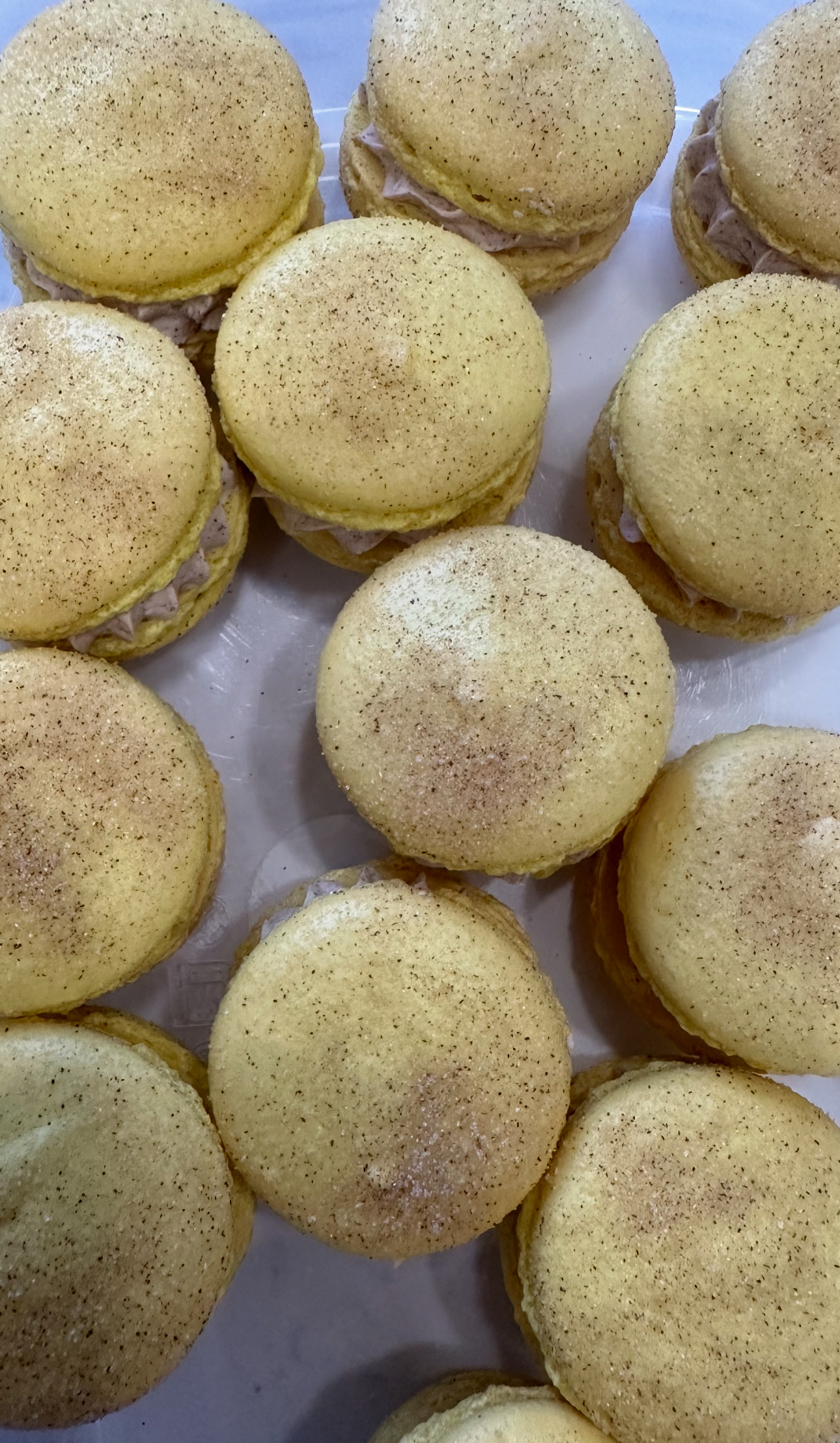 Snickerdoodle Macarons